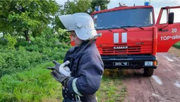 У Луцькому районі врятували лелеченя, яке випало з гнізда (фото)