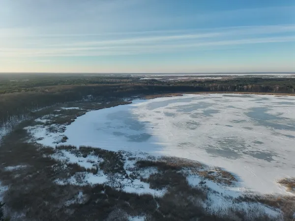 В нацпарку на Волині «наслідили» дикі тварини: кого там побачили (фото)