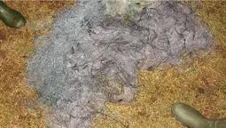 На Волині "застукали" рибалок-браконьєрів (фото)