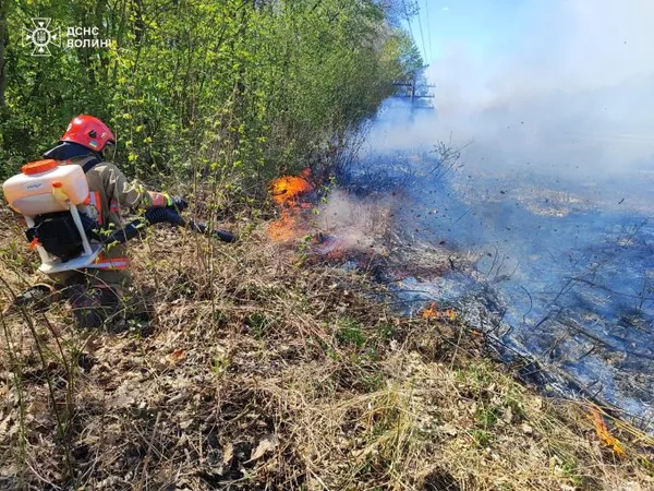 Горіли чагарники та очерет: на Волині загасили 10 пожеж (фото)