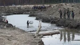 На Волині хочуть легалізувати видобуток бурштину