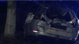 У Луцькому районі водій заснув за кермом та зніс електроопору (фото, відео)