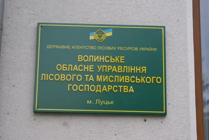 У Волинському лісництві немає даних про збитки на 14 мільйонів