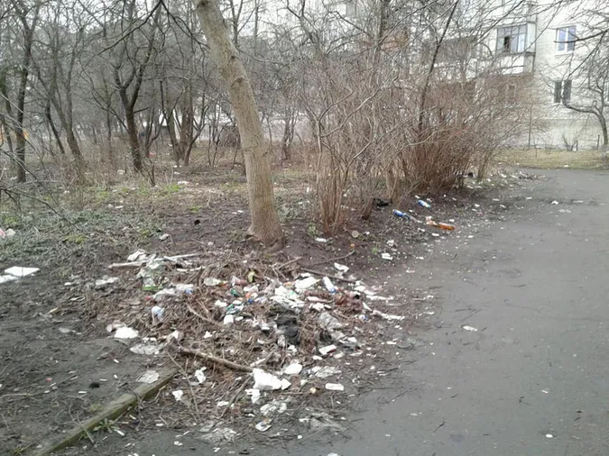 Луцьких підприємців просять прибрати те, що було під снігом (фото)