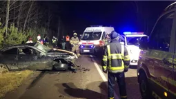 Раптово вибіг з лісу: на Рівненщині лось спричинив ДТП (фото)
