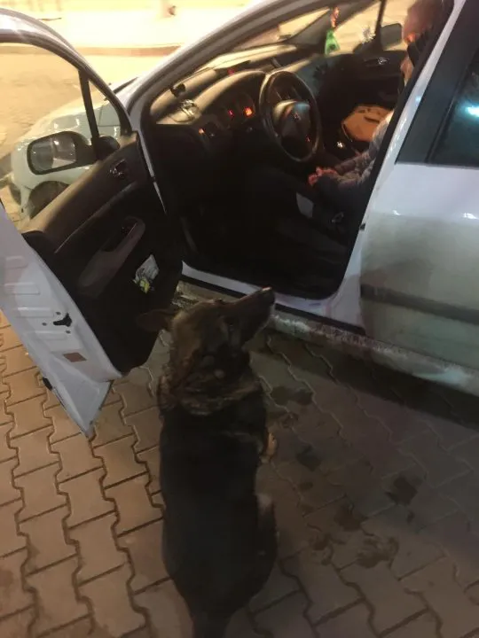 Наркотичні цукерки: через волинський кордон намагалися провезти «траву» (фото)