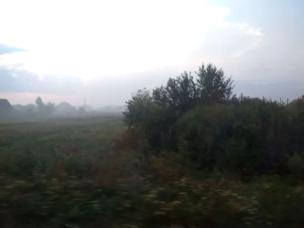 Припиніть палити суху траву та листя! (фото)