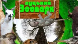 "Луцький зоопарк" видав календар зі світлинами своїх мешканців (фото)