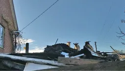 Лучани скаржаться на сім'ю пенсіонерів, які розвели кіз, щурів та безлад на своєму господарстві (відео)