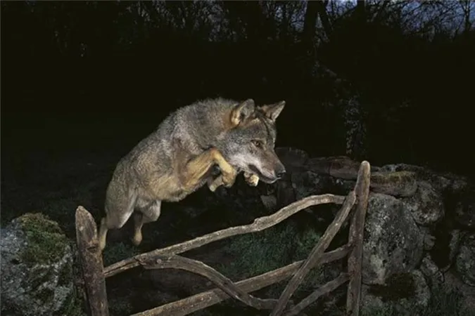 Фото ілюстративне.