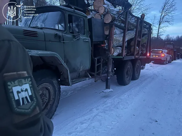 У заповіднику «Цуманська пуща» різали й вивозили ліс без документів (фото)