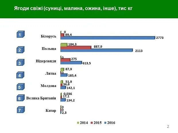Ягідний бізнес: українські перспективи (інфографіка)