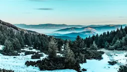 Луцький фотограф показав казкові світлини зимових Карпат (фото)