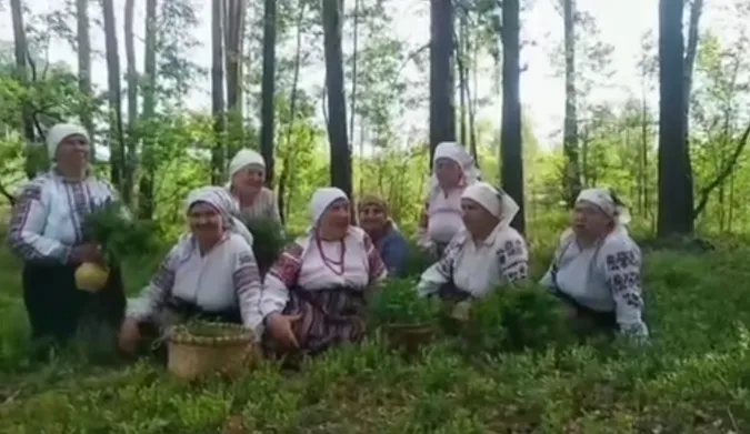 Як на Поліссі співають під час збору чорниць (відео)