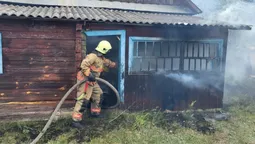 Спалахнула трава – горіла й хата: на Волині рятувальники загасили пожежу (фото)