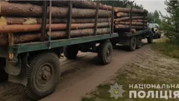 У Ковельському районі зупинили вантажівку з деревиною без документів (фото)