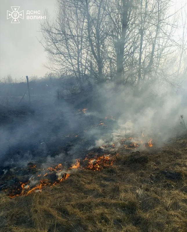 Палає по всій області: на Волині – масові пожежі сухостою (фото)