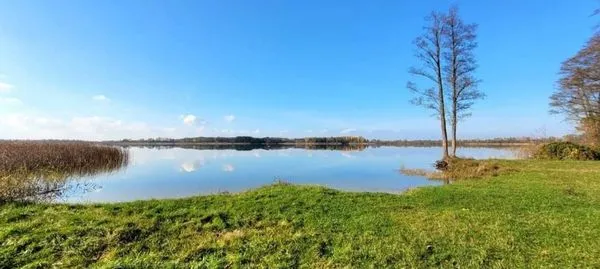 Після сезону відпочинку в Шацьких озерах перевірили якість води: що у ній знайшли (фото)