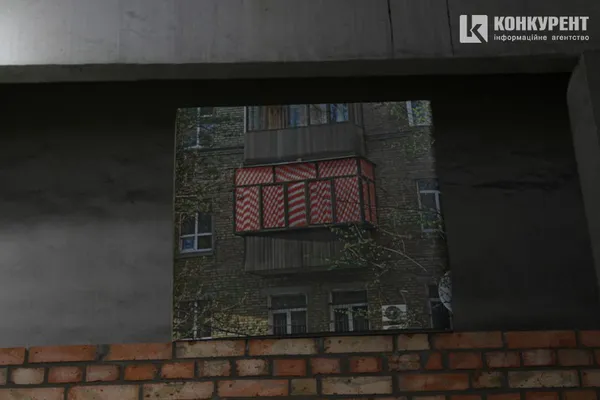 Мертва муха та смердючі картини: пандемічна виставка луцького музею