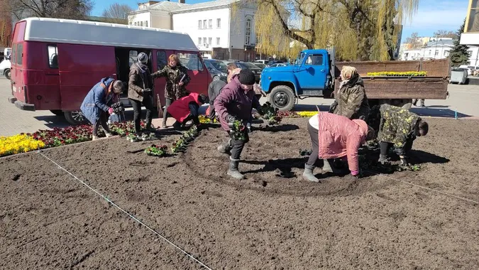 На луцьких клумбах уже висадили півтори тисячі квітів (фото, відео)