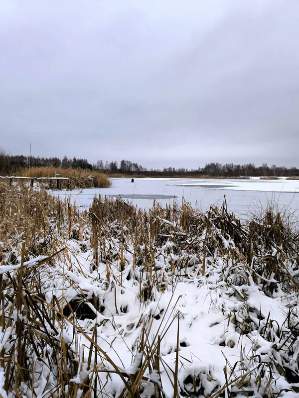 Яким стало популярне серед відпочивальників озеро біля Луцька (фото)