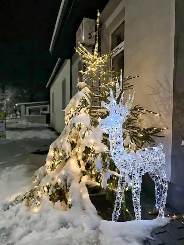 Сніг, бурульки і гірлянди: магічний Любешів на зимових фото