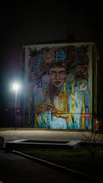 У світлі місяця та ліхтарів: луцький фотограф показав красу нічного міста (фото)