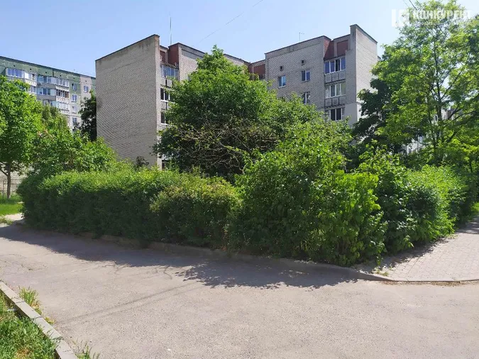 Скоро вовки заведуться: у Луцьку просять зрізати кущі на Кравчука (фото)