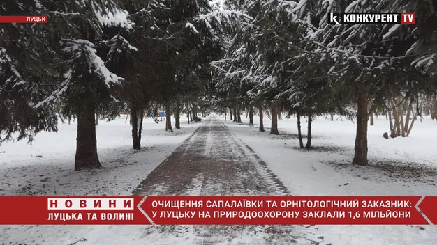 Розчистять Сапалаївку і вивезуть шини з дитсадків: екологічна програма Луцька (відео)