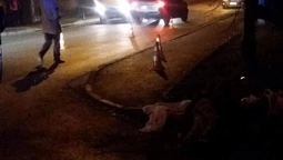 У Луцьку – смертельна аварія. Водій втік (фото, оновлено) 