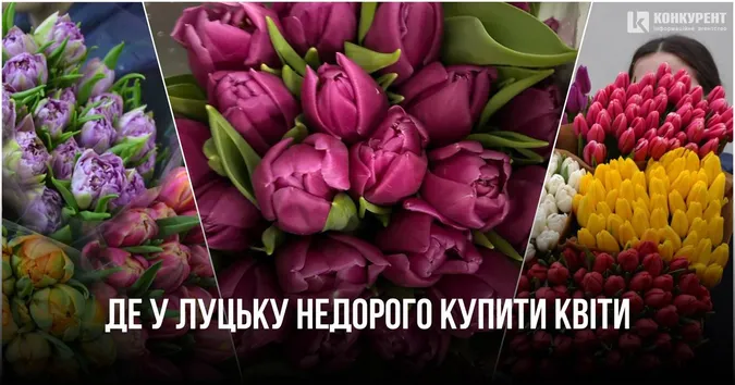 Де у Луцьку недорого купити квіти до свята (адреси, ціни)