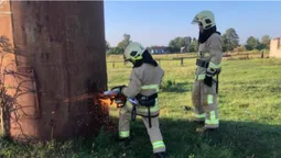 На Волині молоді лелеки провалились у водонапірну вежу: визволяли їх рятувальники (фото)