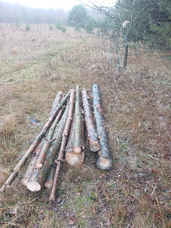 На Волині в нацпарку затримали крадія деревини (фото)