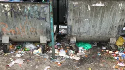 Лучанка поскаржилася на жахливу антисанітарію на окрузі Поліщука (фото)
