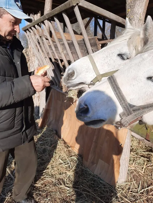 Як волинські «хрести» оберігають врожай і худобу (фото)