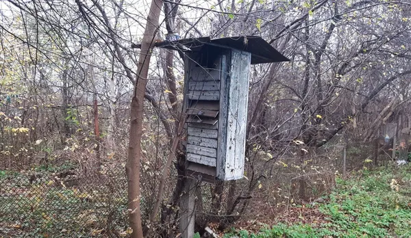 Головне в Луцьку: ТОП новин цього тижня