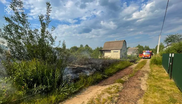 Волинь палає: горять чагарники та сухостій (фото)