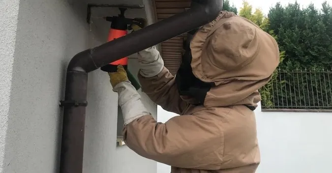 На Волині рятувальники ліквідували три гнізда небезпечних комах (фото)