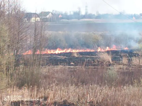 Вигоріло близько 10 гектарів: у Луцькому районі зайнялася пожежа поблизу болота (фото)
