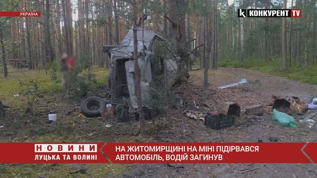 Поїхали по чорниці: на Житомирщині авто підірвалося на міні (фото, відео)