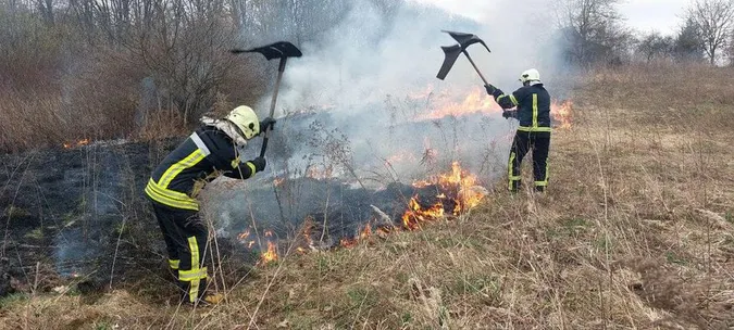 У Луцькому районі горів сухостій – гасили підручними засобами (фото)