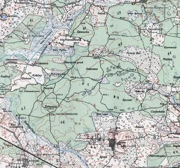 Територія заказника «Зубр» на топографічній мапі 1926 року