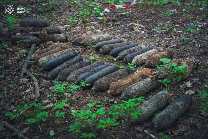 На Волині сапери розміновують заповідне урочище (фото)