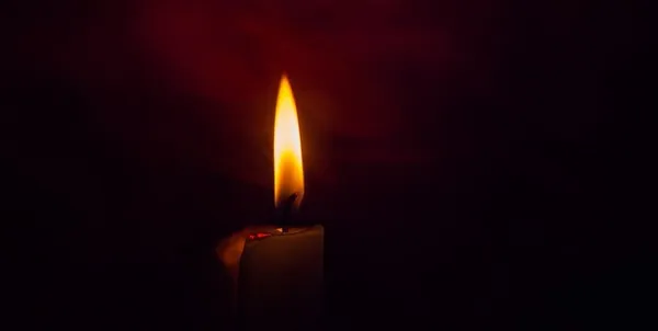 Головне у Луцьку: ТОП новин за понеділок, 12 червня