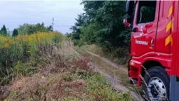 На Волині діти влаштували пожежу біля кладовища (фото)