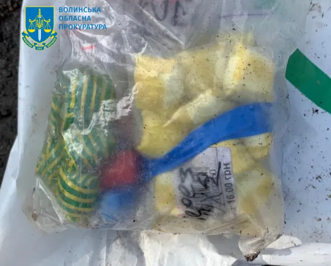 Отримав наркотики поштою: 18-річного лучанина кинули за ґрати на 9 років (фото)
