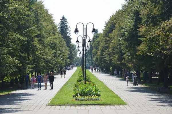 15 відтінків бюджету Луцька: від парканів до фонтанів