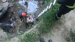 У Луцьку чоловік впав у рів та не міг сам вибратися (відео)