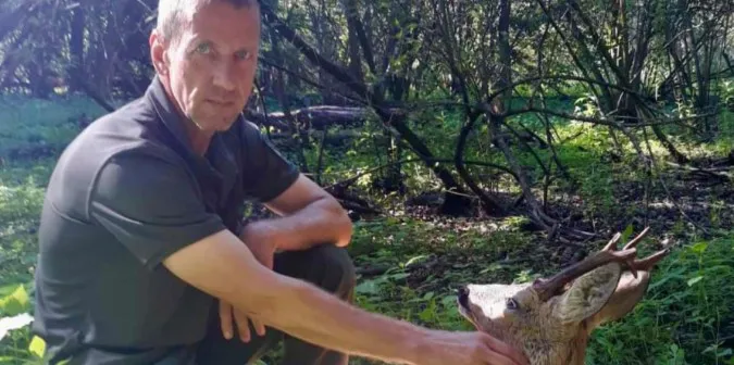 На Ківерцівщині самець козулі оговтується від «лицарського поєдинку» (фото)
