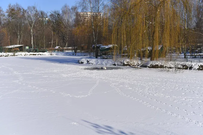 Як зустрічають сніг мешканці Луцького зоопарку (фото)